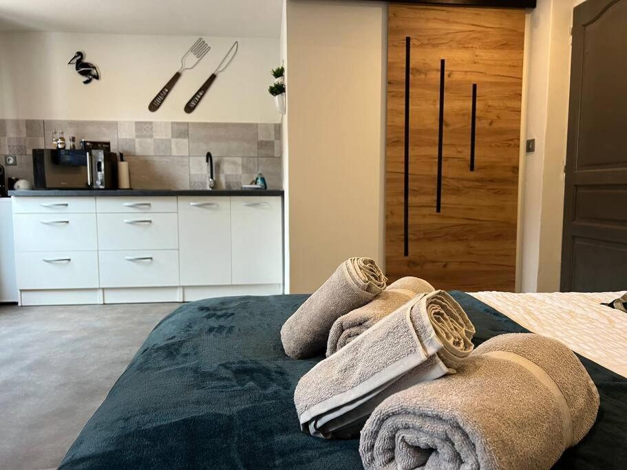 Studio Le Petit Pelican Châtenois Exteriör bild